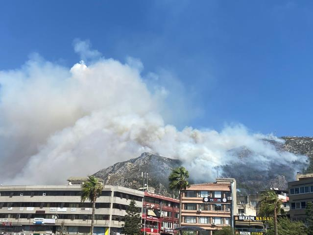 Antakya'da orman yangını